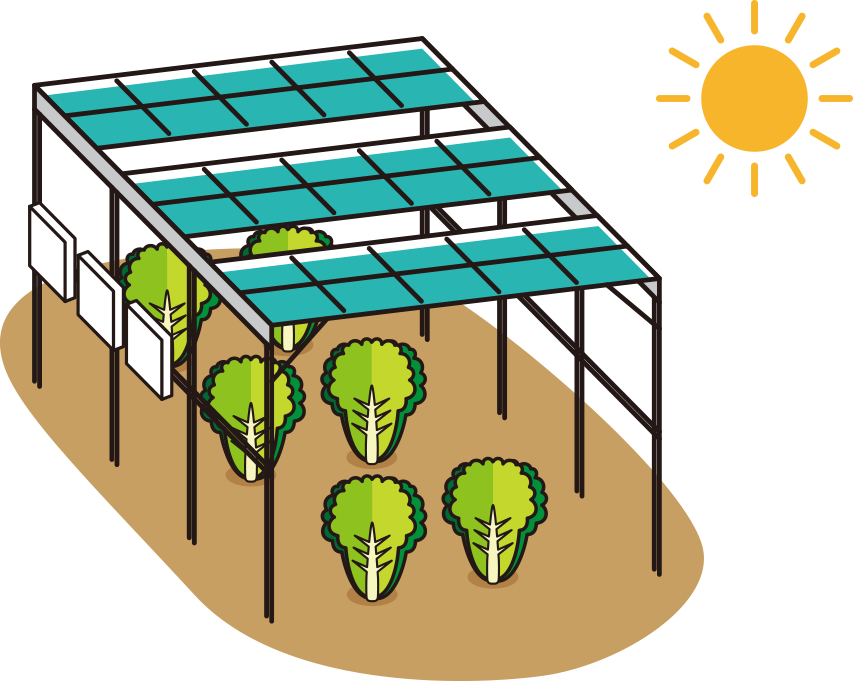 ソーラーシェアリング